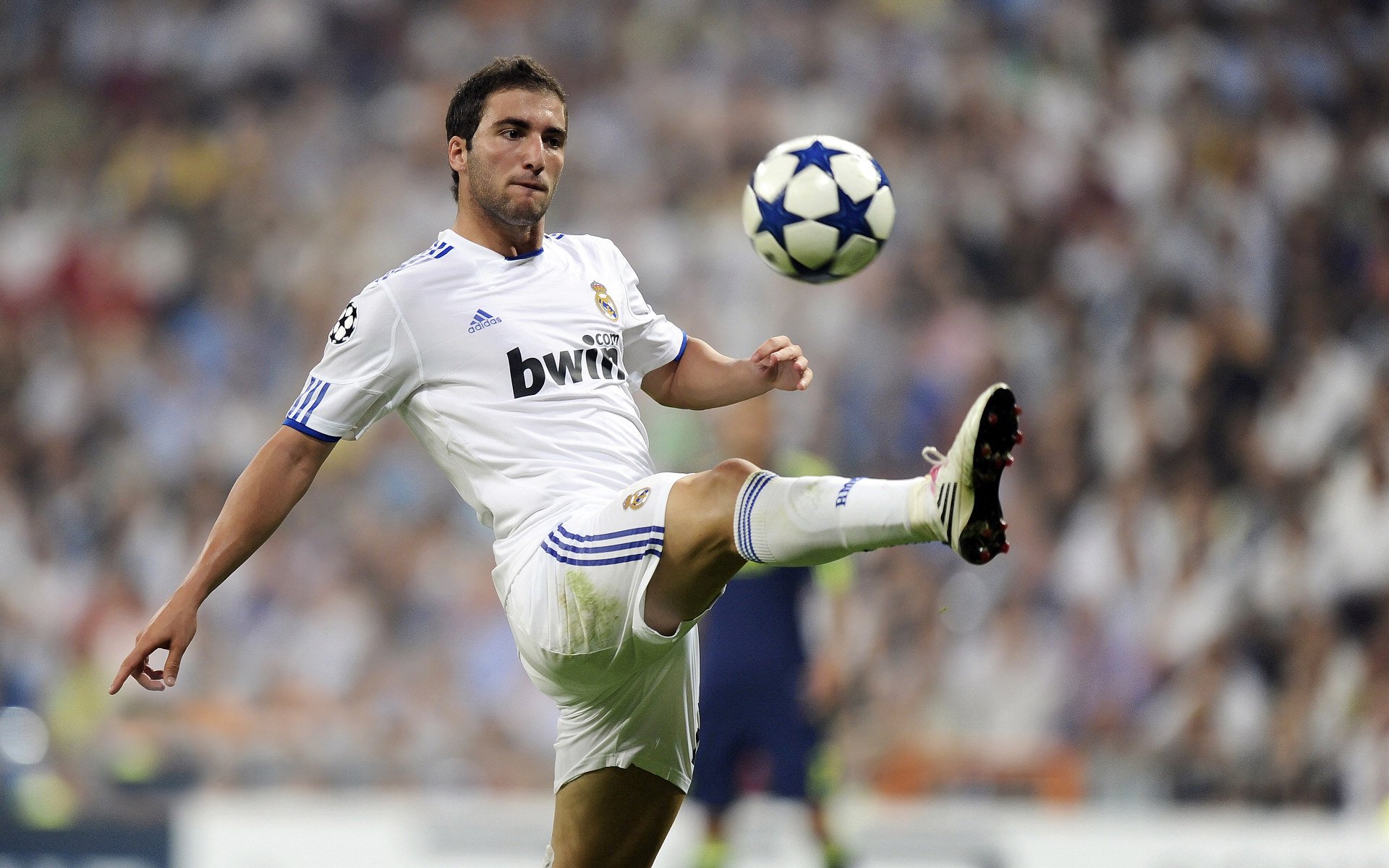 战队选手训练分工明确操作细节追求极致,战队玩法