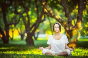 联盟与环保组织合作推动赛事碳排放核算与补偿措施，碳排放合约