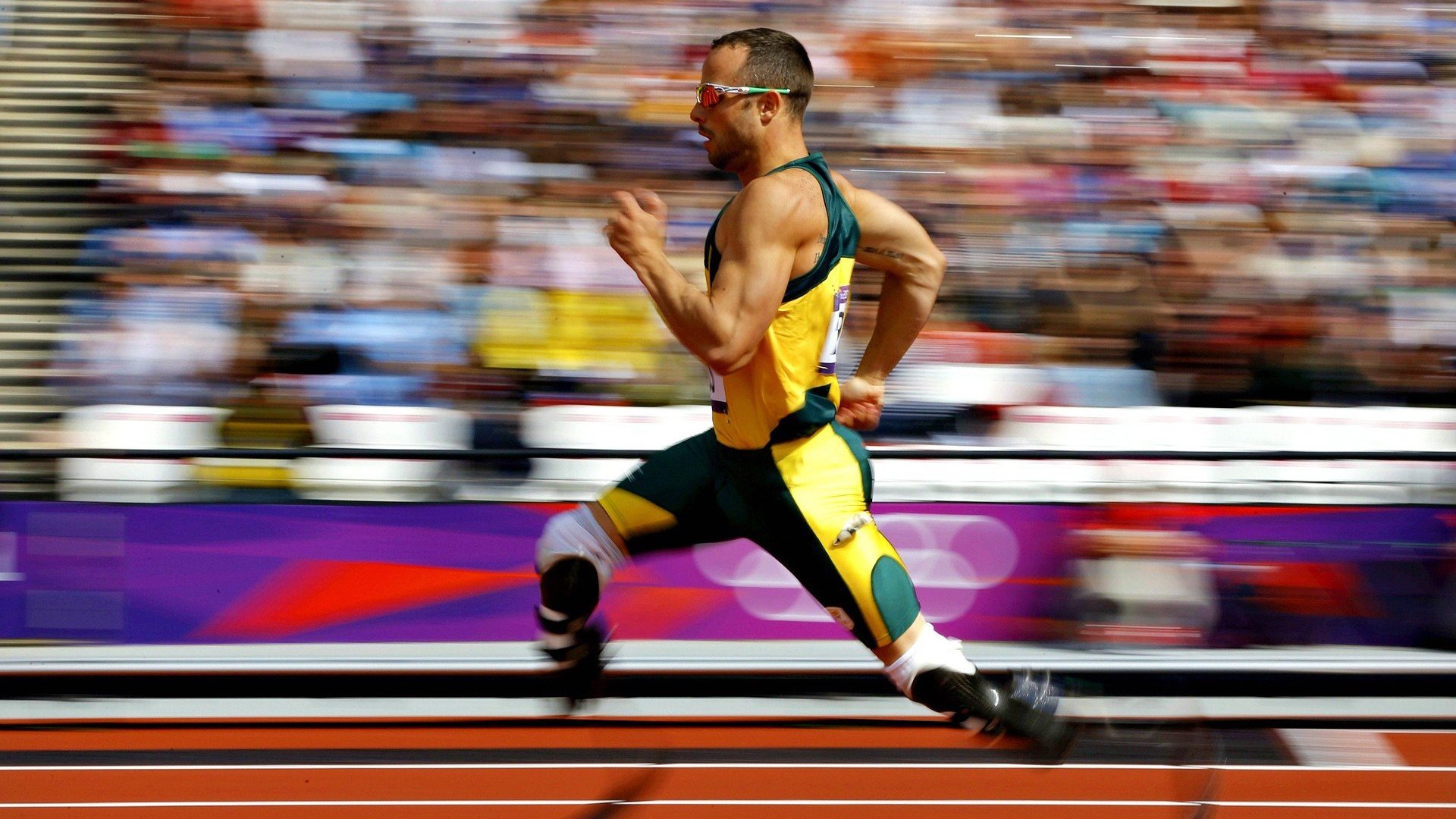 kaiyun电竞-体育新闻中心推进体育影像档案管理系统建设，体育档案目录